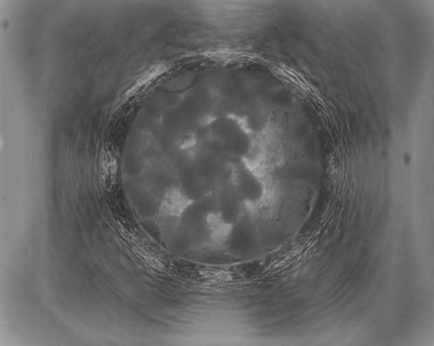 X0000086921302200704231255