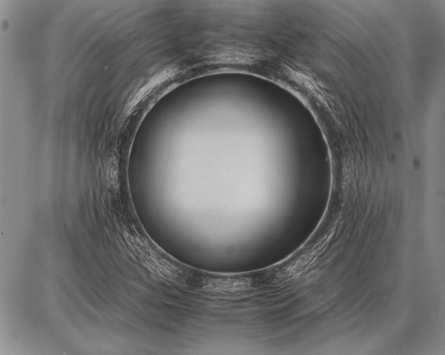 X0000086921307200704231255