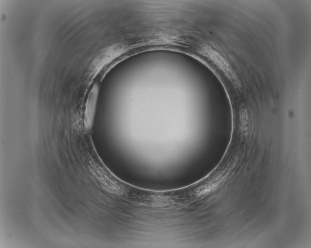 X0000086921308200704231255
