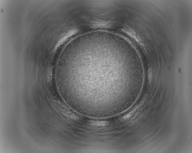 X0000086921309200704231255