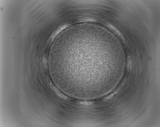X0000086921321200704231255