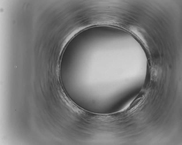 X0000086921340200704231256