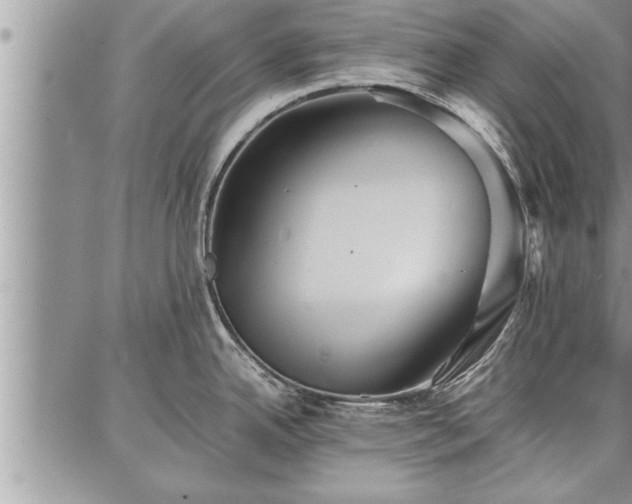 X0000086921342200704231256