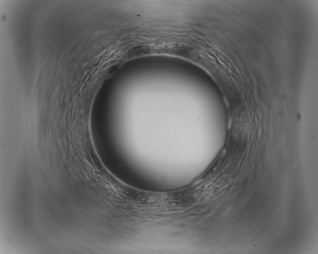 X0000086921345200704231255
