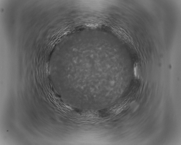 X0000086921347200704231255