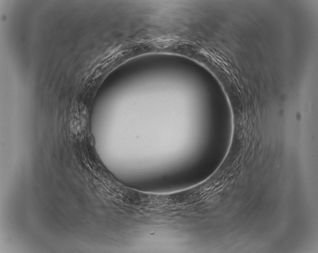 X0000086921349200704231255
