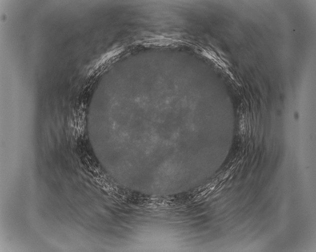 X0000086921350200704231255
