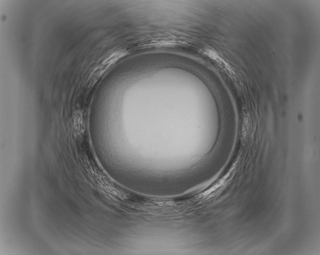 X0000086921353200704231255