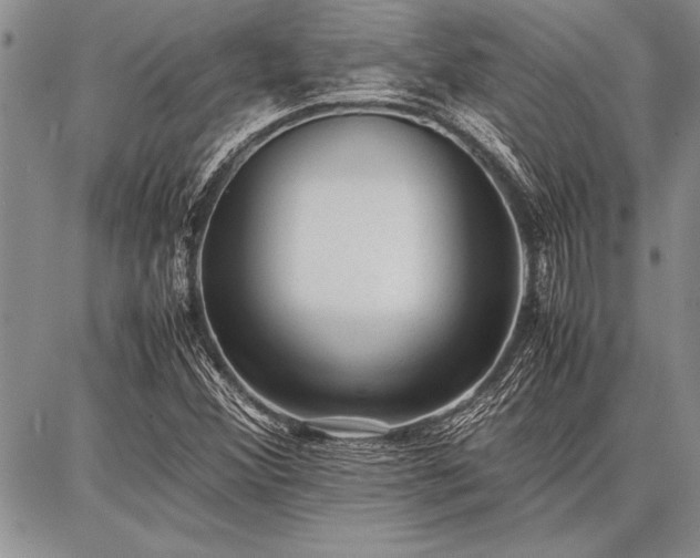 X0000086921356200704231255