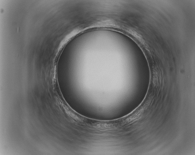 X0000086921366200704231254