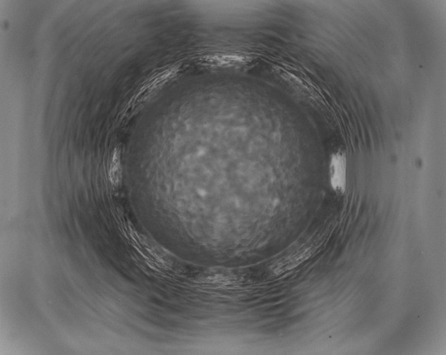 X0000086921395200704231253