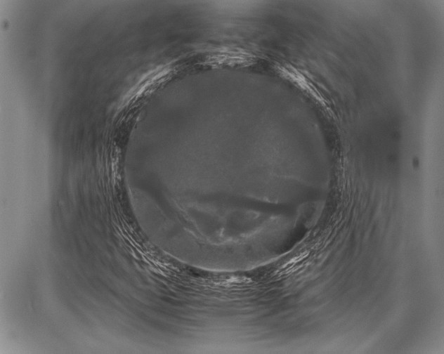 X0000086921399200704231253