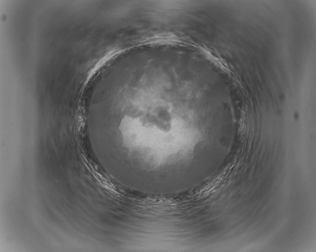 X0000086921400200704231253