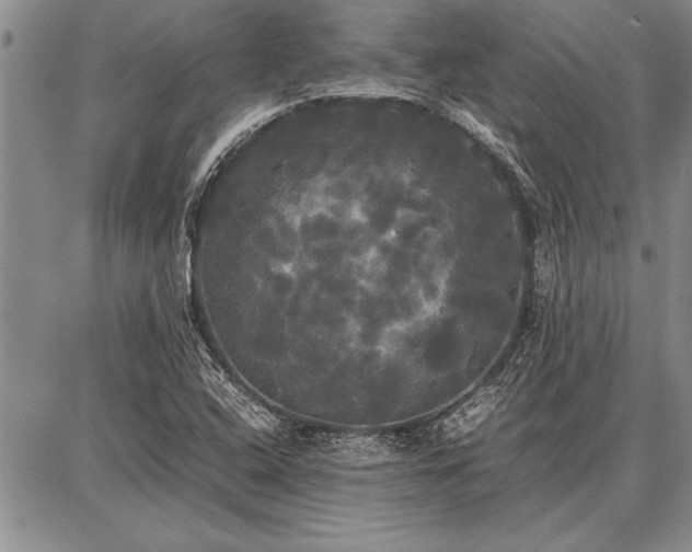 X0000086921408200704231253