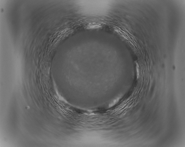 X0000086921441200704231253