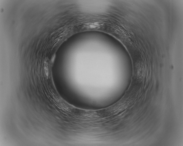 X0000086921442200704231253