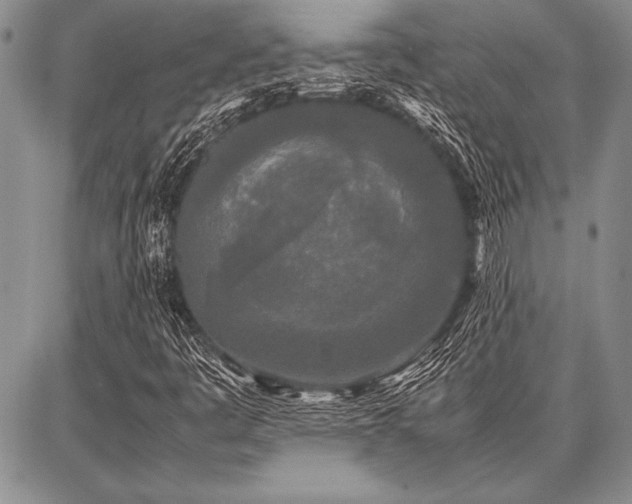 X0000086921445200704231253
