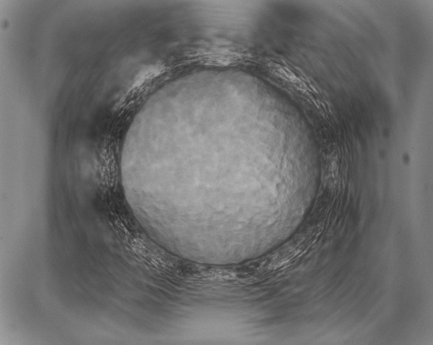 X0000086921446200704231253