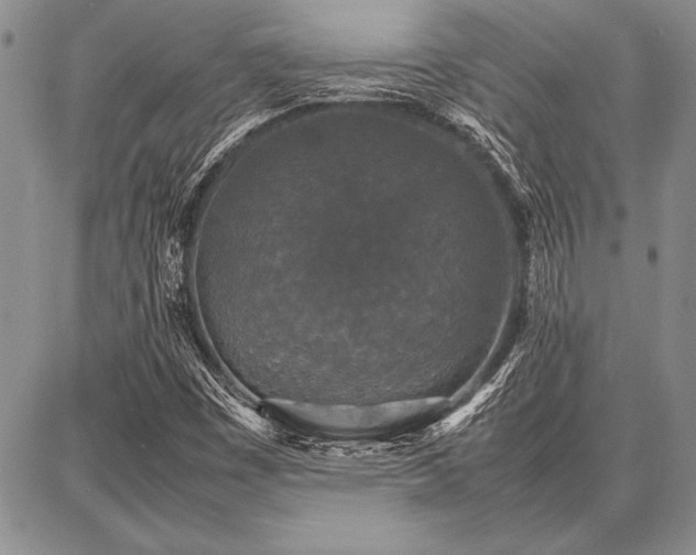 X0000086921449200704231253