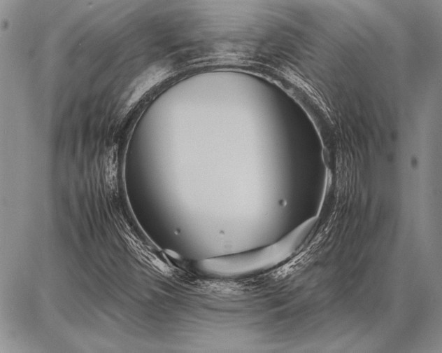 X0000086921450200704231253