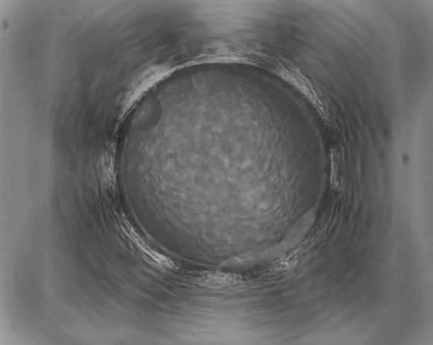 X0000086921452200704231253