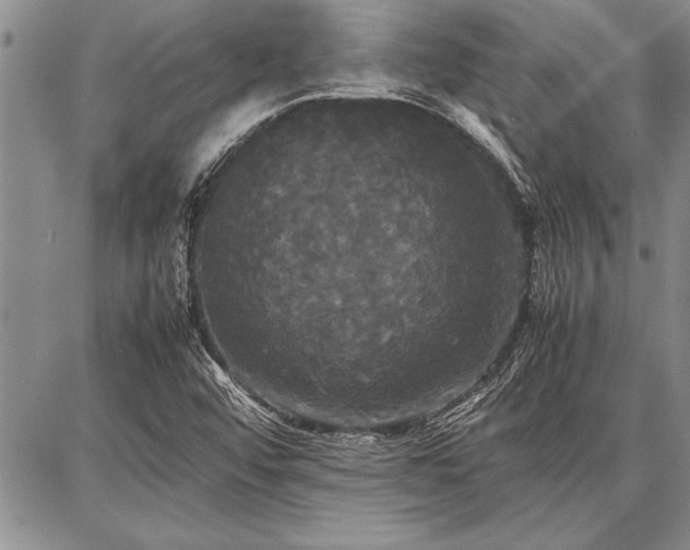 X0000086921456200704231253