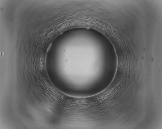 X0000086921490200704231252