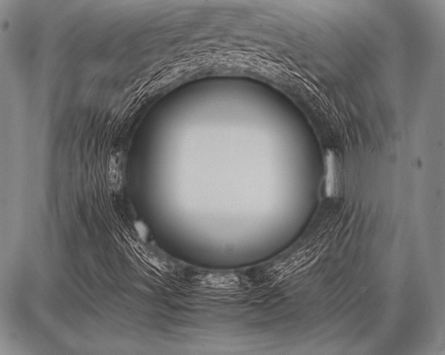 X0000086921491200704231252