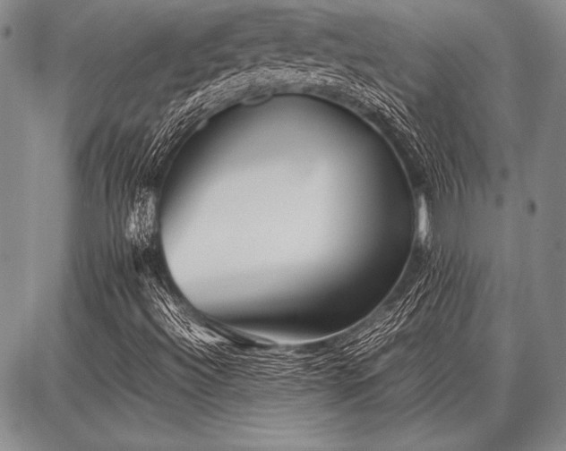 X0000086921492200704231252