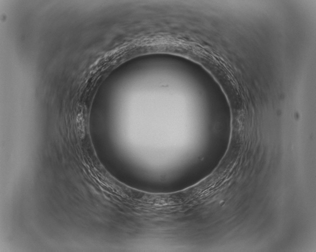 X0000086921493200704231252