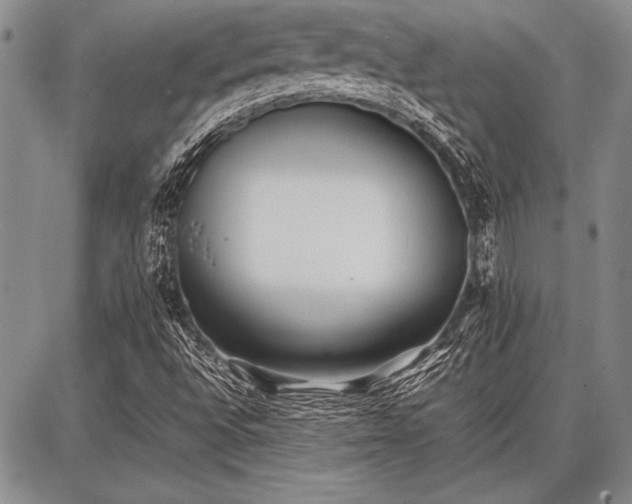 X0000086921496200704231252