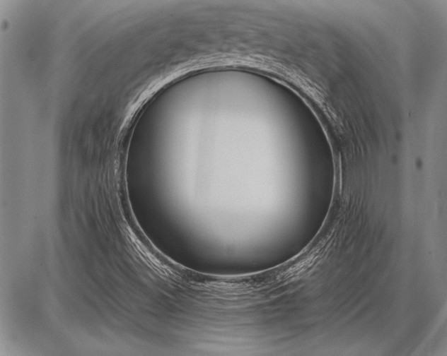 X0000086921500200704231252