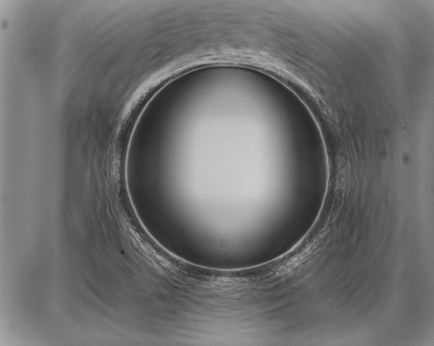 X0000086921506200704231252