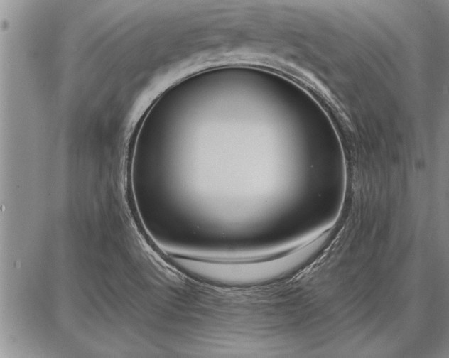 X0000086921512200704231252