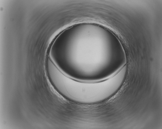 X0000086921518200704231252