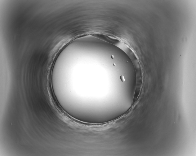X0000086920001200704301106
