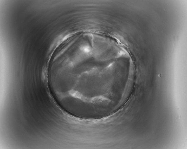 X0000086920002200704301106