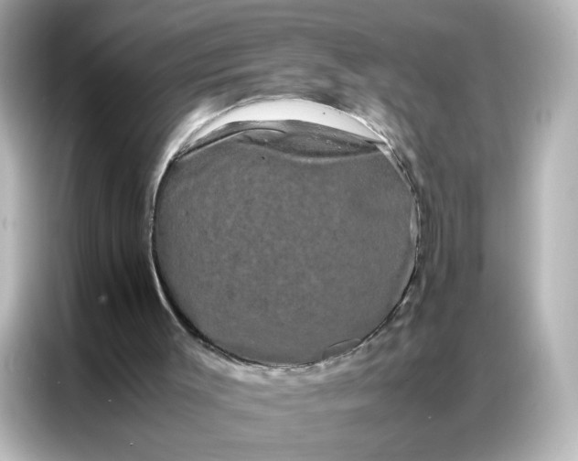 X0000086920003200704301106