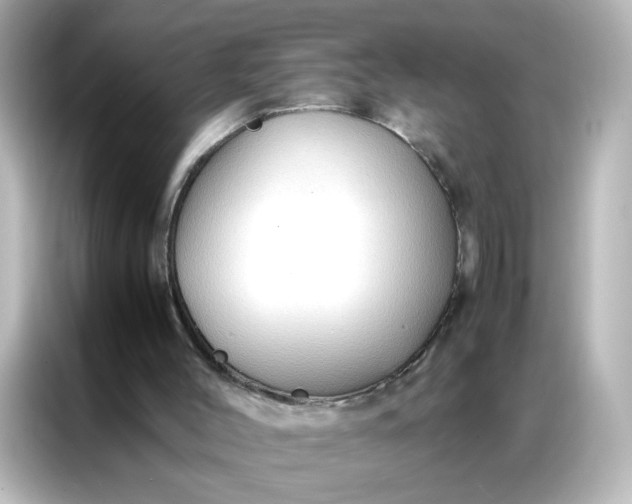X0000086920004200704301106