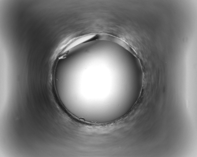 X0000086920005200704301106