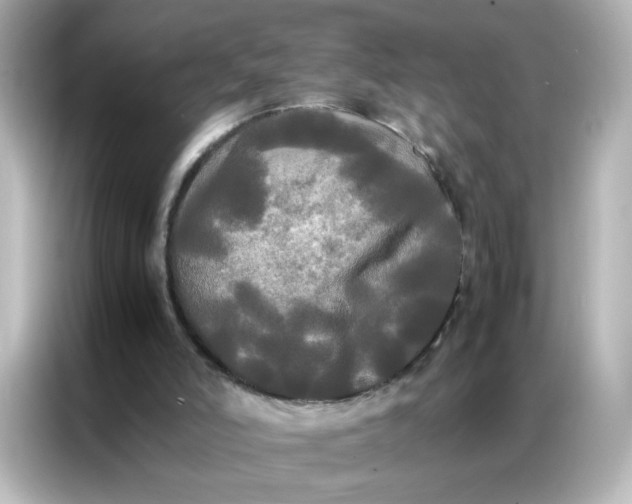X0000086920006200704301106