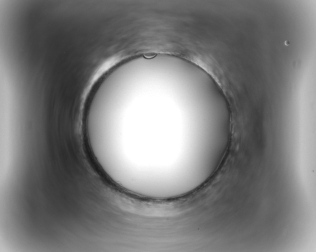 X0000086920008200704301106