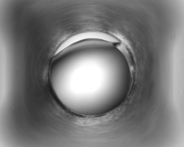 X0000086920009200704301106