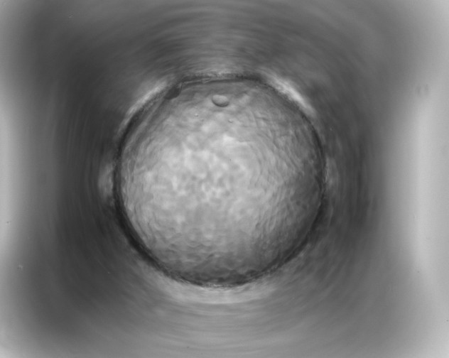 X0000086920010200704301106