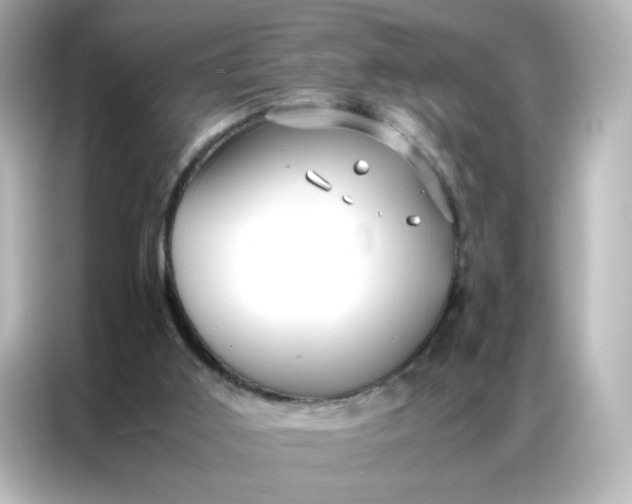 X0000086920011200704301106