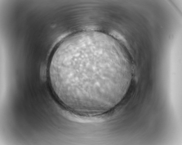 X0000086920012200704301106