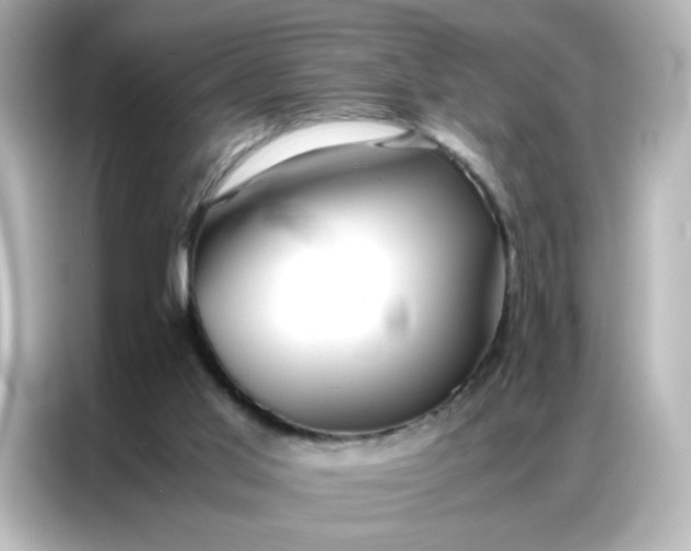 X0000086920013200704301106