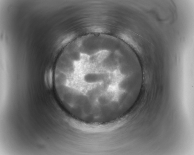 X0000086920014200704301106