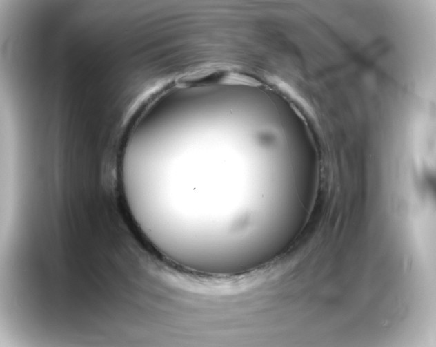 X0000086920015200704301106