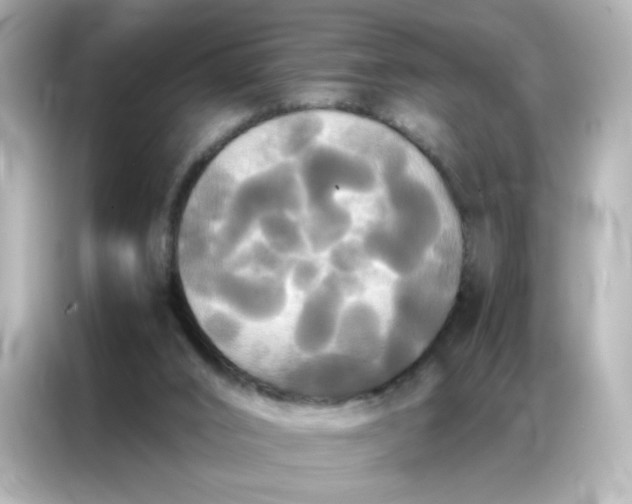 X0000086920016200704301106